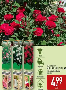 ALDI Gardenline mini rosier tige offre