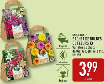 ALDI Gardenline sachet de bulbes de fleurs offre