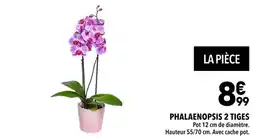 Supeco Phalaenopsis 2 tiges offre