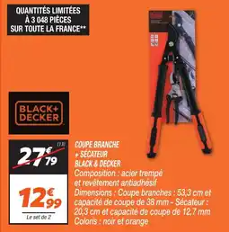 Netto BLACK & DECKER Coupe branche + sécateur offre