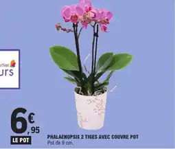 E.Leclerc Phalaenopsis 2 tiges avec couvre pot offre