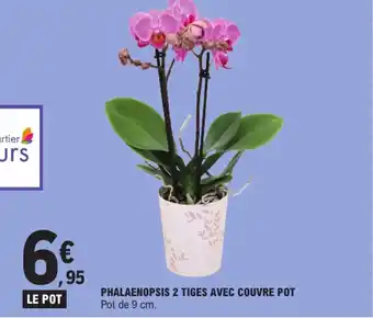 E.Leclerc Phalaenopsis 2 tiges avec couvre pot offre