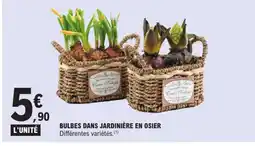 E.Leclerc Bulbes dans jardinière en osier offre