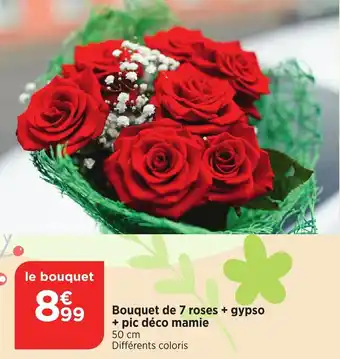 Bi1 Bouquet de 7 roses + gypso + pic déco mamie offre