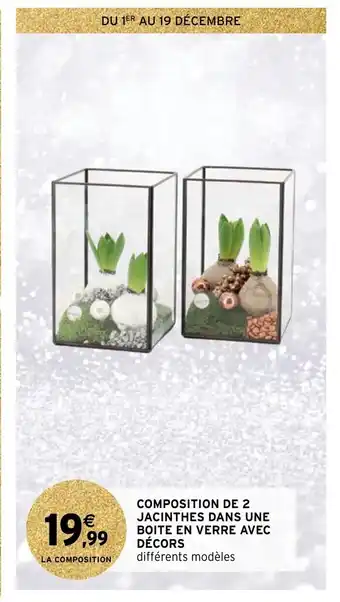 Intermarché Composition De 2 Jacinthes Dans Une Boite En Verre Avec Décors offre