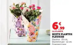 Super U Mixte plantes fleuries offre