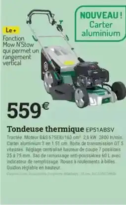 Espace emeraude Tondeuse thermique EP51ABSV offre