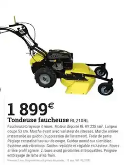 Espace emeraude Tondeuse faucheuse RL210RL offre