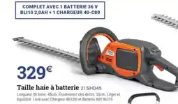 Espace emeraude Taille haie à batterie 215iHD45 offre