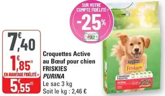 G20 FRISKIES Croquettes Active au Boeuf pour chien offre