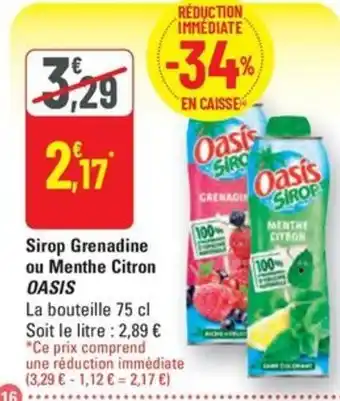 G20 OASIS Sirop Grenadine ou Menthe Citron offre