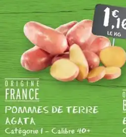 G20 Pommes de terre agata offre