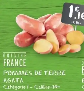 G20 Pommes de terre agata offre