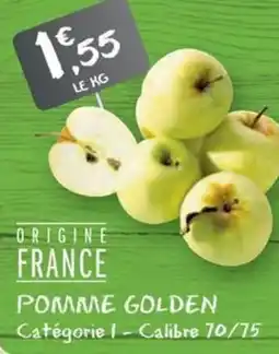 G20 Pomme golden offre