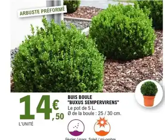 E.Leclerc Jardi Buis boule "buxus sempervirens" offre