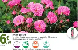 E.Leclerc Jardi Rosier buisson offre