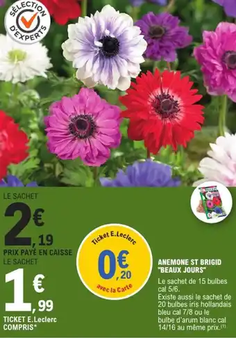 E.Leclerc Jardi Anemone st brigid "beaux jours" offre