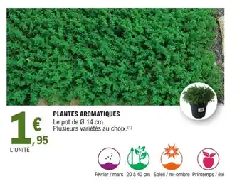 E.Leclerc Jardi Plantes aromatiques offre