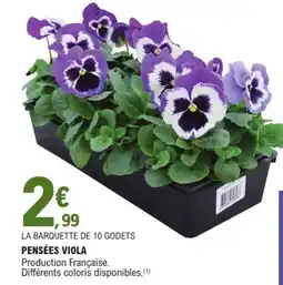 E.Leclerc Jardi Pensées viola offre