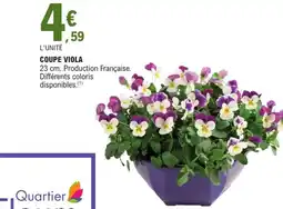 E.Leclerc Jardi Coupe viola offre