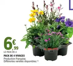 E.Leclerc Jardi Pack de 4 vivaces offre