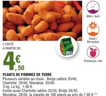 E.Leclerc Jardi Plants de pommes de terre offre