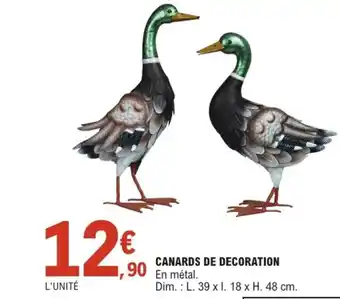 E.Leclerc Jardi Canards de decoration offre