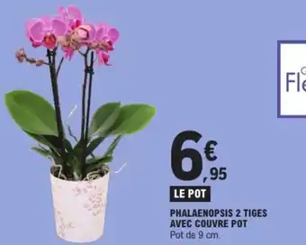 E.Leclerc Express Phalaenopsis 2 tiges avec couvre pot offre