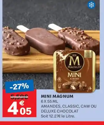 Leader Price MAGNUM Mini offre