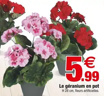 Bazarland Le géranium en pot offre