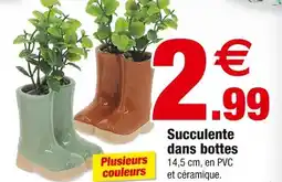 Bazarland Succulente dans bottes offre