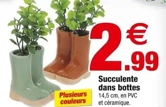 Bazarland Succulente dans bottes offre