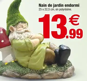 Bazarland Nain de jardin endormi offre