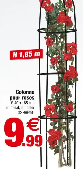 Bazarland Colonne pour roses offre