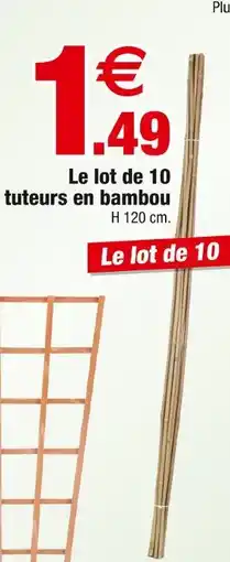 Bazarland Le lot de 10 tuteurs en bambou offre