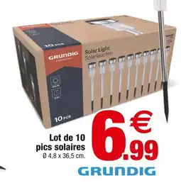 Bazarland Grundig Lot de 10 pics solaires offre