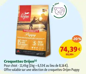 Maxi Zoo OrRIJEN Croquettes offre