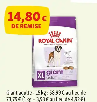 Maxi Zoo Royal Canin Croquettes offre