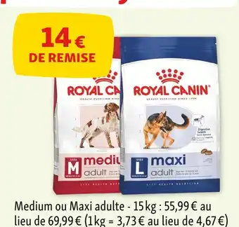 Maxi Zoo Royal Canin Croquettes offre