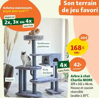 Maxi Zoo Charlie MORE Arbre à chat offre