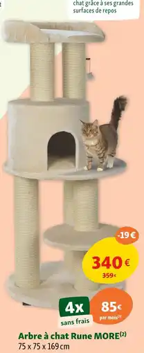 Maxi Zoo Arbre à chat rune more offre