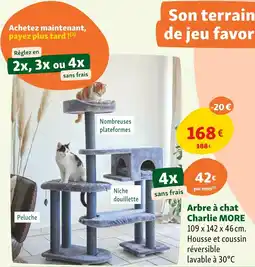 Maxi Zoo Arbre à chat charlie more offre