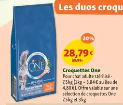 Maxi Zoo Purina Croquettes One offre