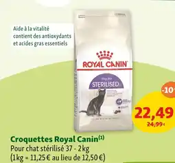 Maxi Zoo ROYAL CANIN Croquettes R offre