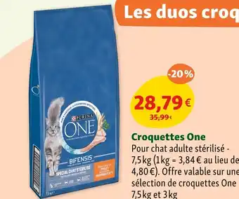 Maxi Zoo PURINA ONE Croquettes One offre