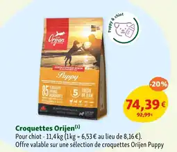 Maxi Zoo Croquettes Orijen offre