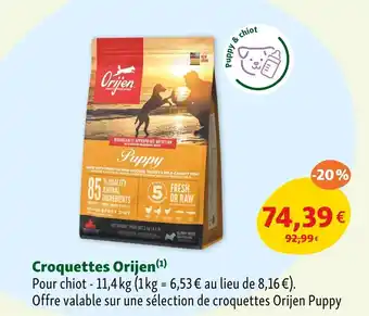 Maxi Zoo Croquettes Orijen offre