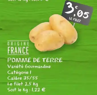G20 Pomme de terre offre
