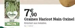 Espace emeraude Graines Haricot Nain Oxinel offre