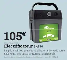 Espace emeraude CALYDON Électrificateur BA180 offre